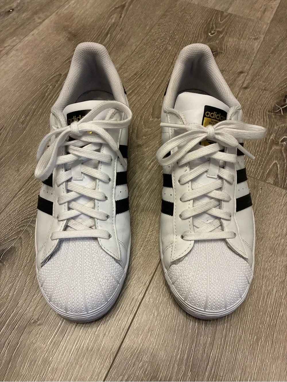 Adidas Superstar Shell Toe Sneakers in White